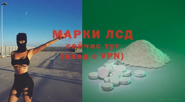 спиды Аркадак