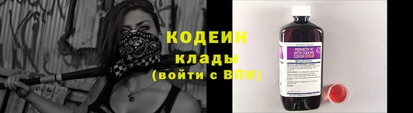 ГАЛЛЮЦИНОГЕННЫЕ ГРИБЫ Арсеньев