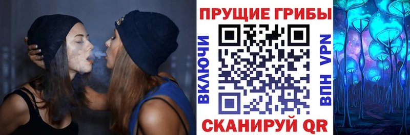 darknet телеграм  ссылка на мегу сайт  Мураши  Галлюциногенные грибы Psilocybe 