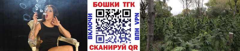 где продают наркотики  Мураши  Шишки марихуана семена 